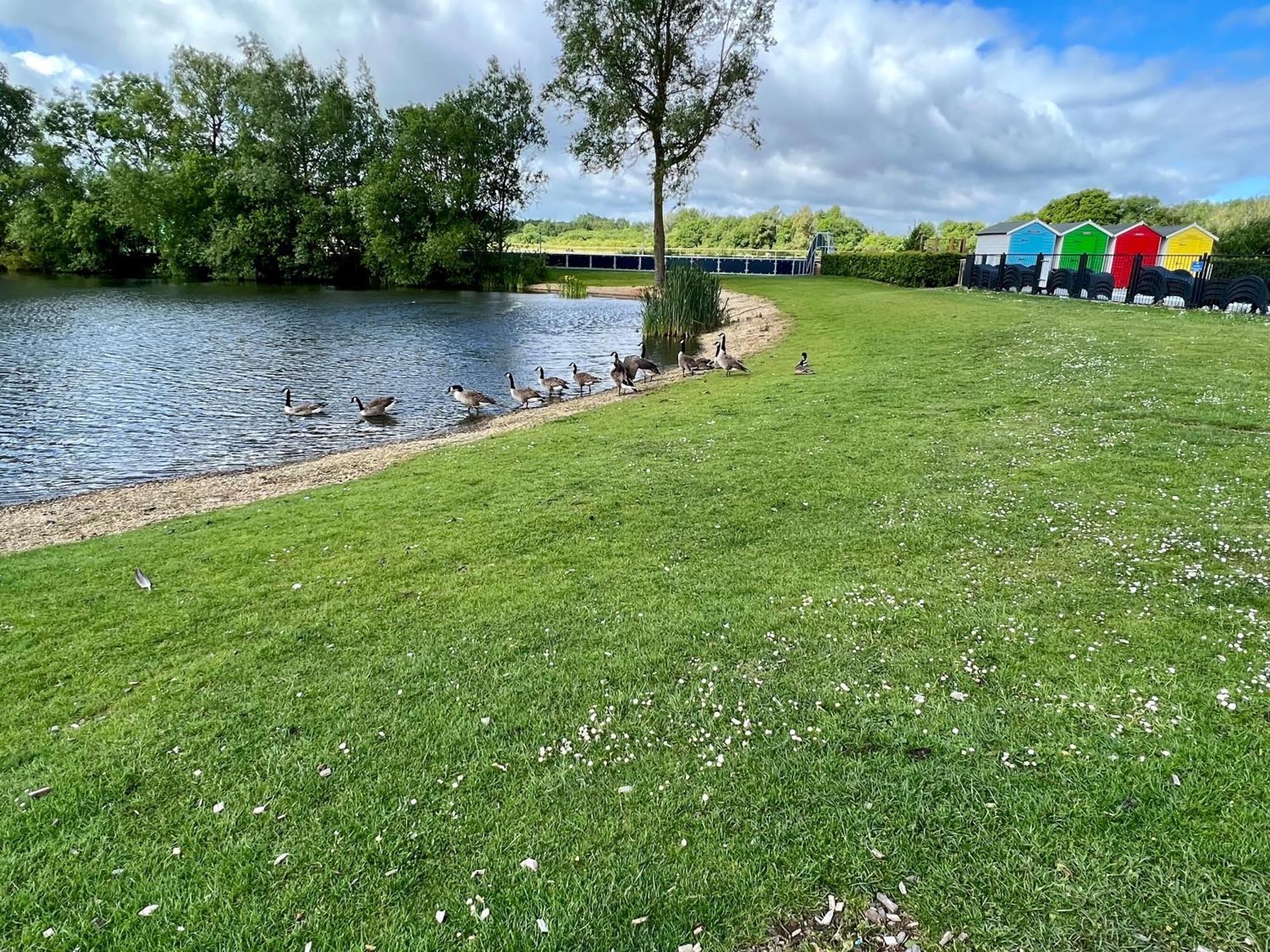 Cottontail Lodge - Hot Tub - Pet Friendly South Cerney Bagian luar foto